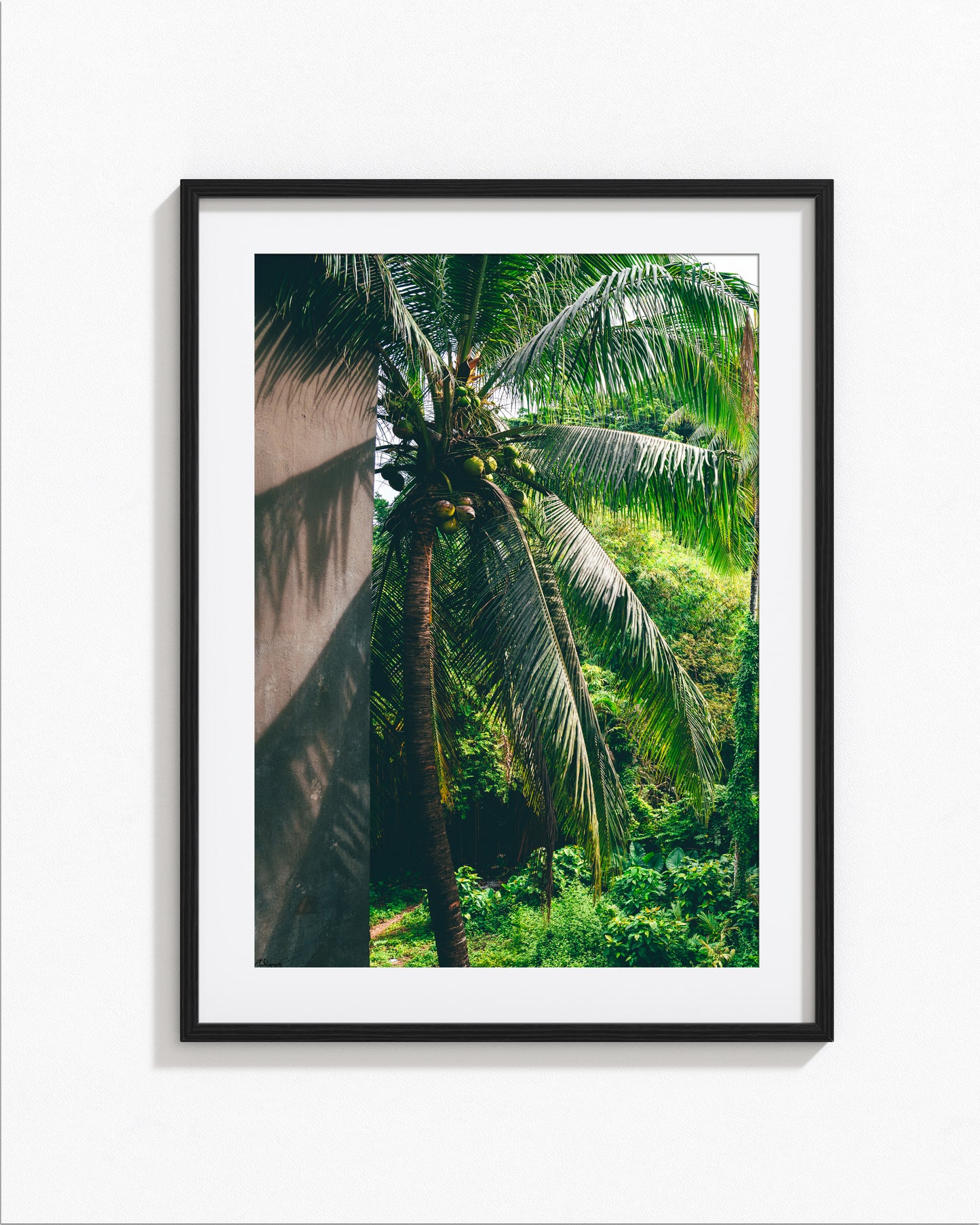 Tropical Mirage