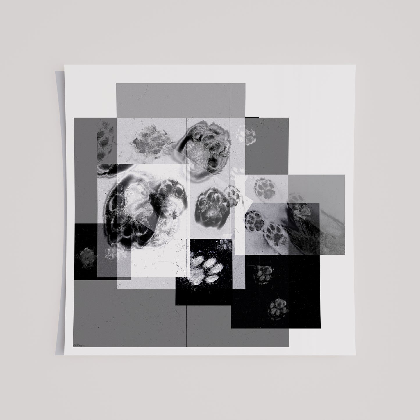 Abstract Cat Paw Print Collage | Modernist Black & White Scanography Wall Art