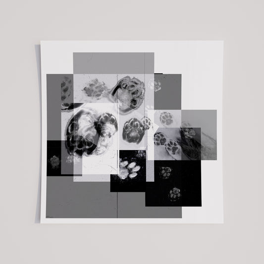 Abstract Cat Paw Print Collage | Modernist Black & White Scanography Wall Art